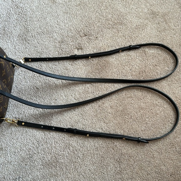 AUTHENTIC Louis Vuitton Palm Springs Mini - Picture 6 of 15